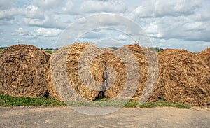 Rolls of dried grass on the edge of a country road