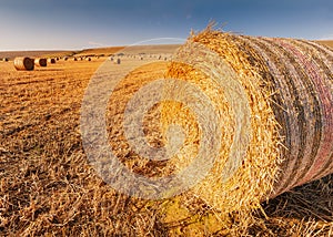 Rolls of hay bales in a field. One large roll in the foreground