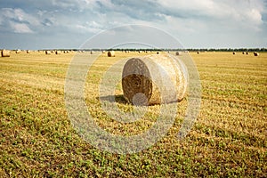 Rolls of hay bales in a field. One large roll in the foreground