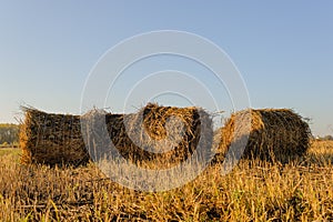 Rolls of hay lying in autumn