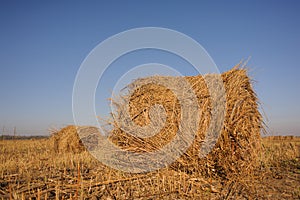 Rolls of hay lying in autumn