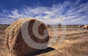Rolls of hay stand in the paddocks before collection-Victoria