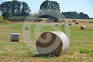 Rolls of Hay, Willamette Valley, Oregon