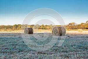 Rolls of haystacks on the field.