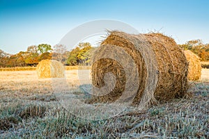 Rolls of haystacks on the field.
