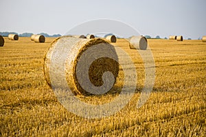 Rolls of haystacks on the field. Summer farm scenery with haystack on the Background of beautiful sunset. Agriculture