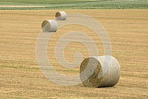 Rolls of haystacks in the fields