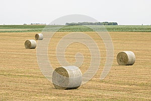 Rolls of haystacks in the fields