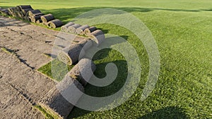 Rolls of lawn grass on a golf course in a park on a sunny day, against a background of pine trees. Wide frame