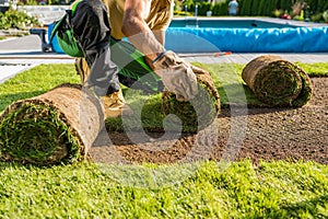 Rolls of Natural Grass Turfs Being Installed Inside a Backyard Garden