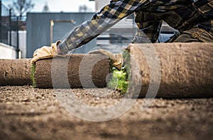 Rolls of Natural Grass Turfs Prepared For a Backyard Garden Installation