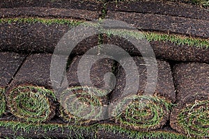 Rolls of new grass sod on a pile
