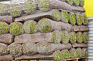 Rolls of new sod