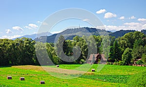 Rolls of slanted hay in the field and small rural house