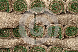 Rolls of sod