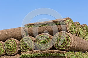 Rolls of sod