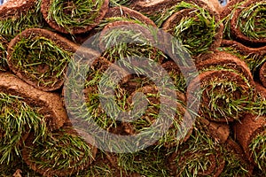 Rolls of Sod ready for installing