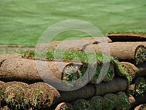 Rolls of Sod on a Turf Farm