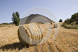 Rolls of straw