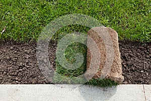 Rolls of turf or turfgrass, close-up. Landscaping of territory in the park