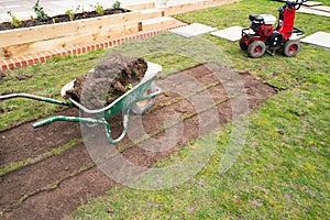Rolls of turf in a wheelbarrow after they have been cut with a motorised grass turf cutter.