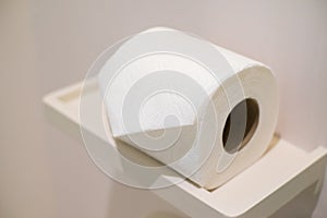 Rolls of white tissue paper in the bathroom.