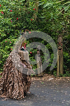 Rom custom dance, Fanla tribe, North Ambrym, Vanuatu