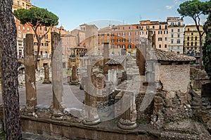 ROMA, ITALY - JULY 2017: Ancient ruins in Torre Argentina Square, the site of the death of Emperor Julius Caesar in Rome, Italy