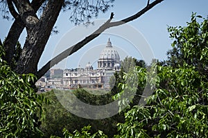 Roma roofs wiew photo