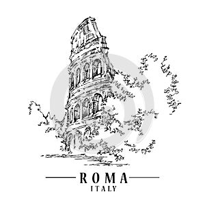 Roma sketch illustration.