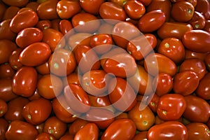 Roma tomatoes