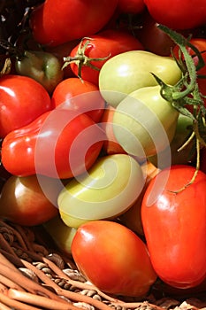 Roma tomatoes in s basket