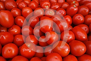 Roma Tomatoes photo