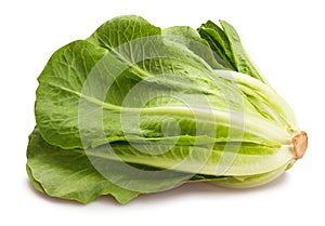 Romain lettuce