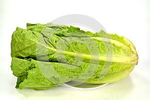 Romain lettuce photo