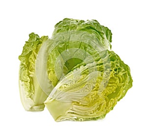 Romain Lettuce isolated on a white background