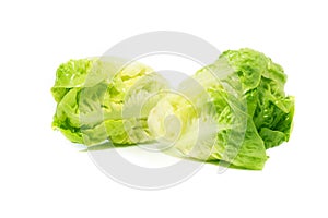 Romain Lettuce isolated on white background