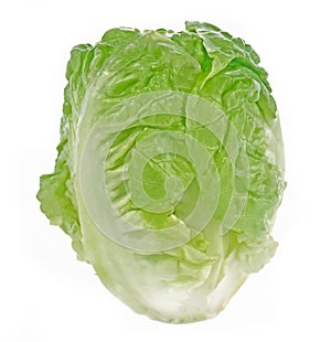 Romain Lettuce isolated on white background