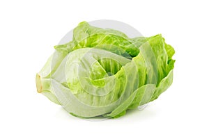 Romain Lettuce isolated on a white background.