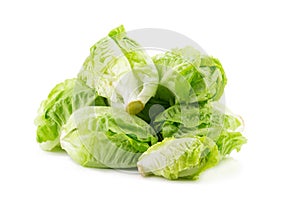 Romain Lettuce isolated on a white background.