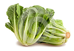 Romain lettuce