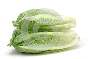 Romaine lettuce photo