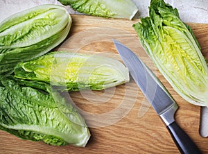 Romaine lettuce