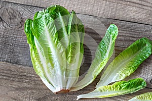 Romaine lettuce close up