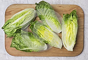 Romaine lettuce