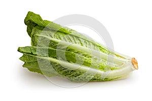 Romaine lettuce