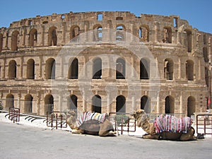 Roman amphitheatre - El Djem photo