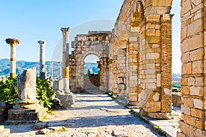 Roman Ancient city of Volubilis, Meknes, Unesco World Heritage S