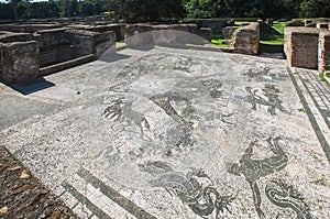 Roman ancient Mosaic floor in the baths, near Rome