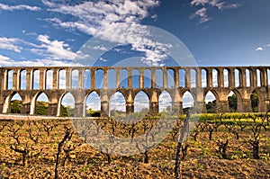 Roman Aqueduct photo